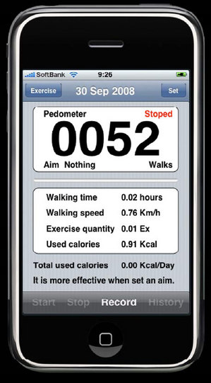 pedometer3.jpg